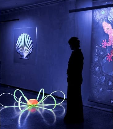 PHILIPS T8/T5 Blacklight Blue-lysrör