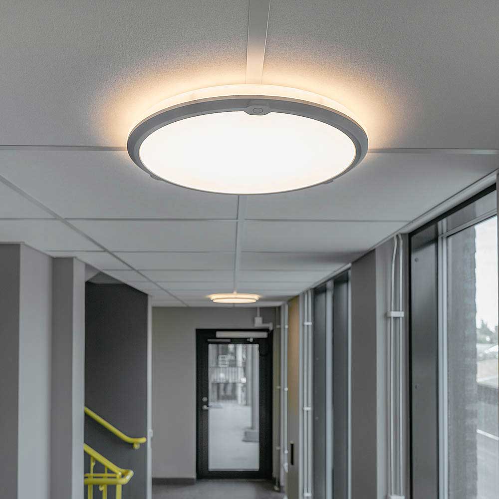 LedgeCircle® D460 – Essential