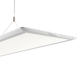 Ledge® Suspended