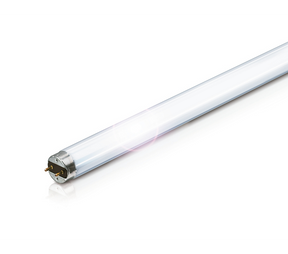 Lysror T8 Ø26mm PHILIPS. Bilden är tagen snett uppifrån. Sockeln G13 av lysröret i förgrunden och en bit in på lysröret syns i bild. Vit bakgrund och ljusreflektion på lysröret.