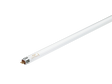 litet tunt lysror