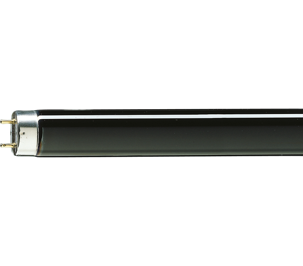 PHILIPS T8/T5 Blacklight Blue-lysror