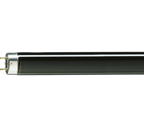 PHILIPS T8/T5 Blacklight Blue-lysror